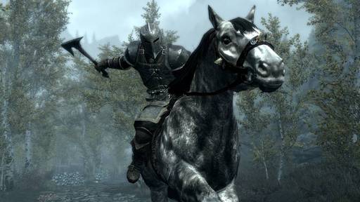 Elder Scrolls V: Skyrim, The - Dawnguard. Смогли